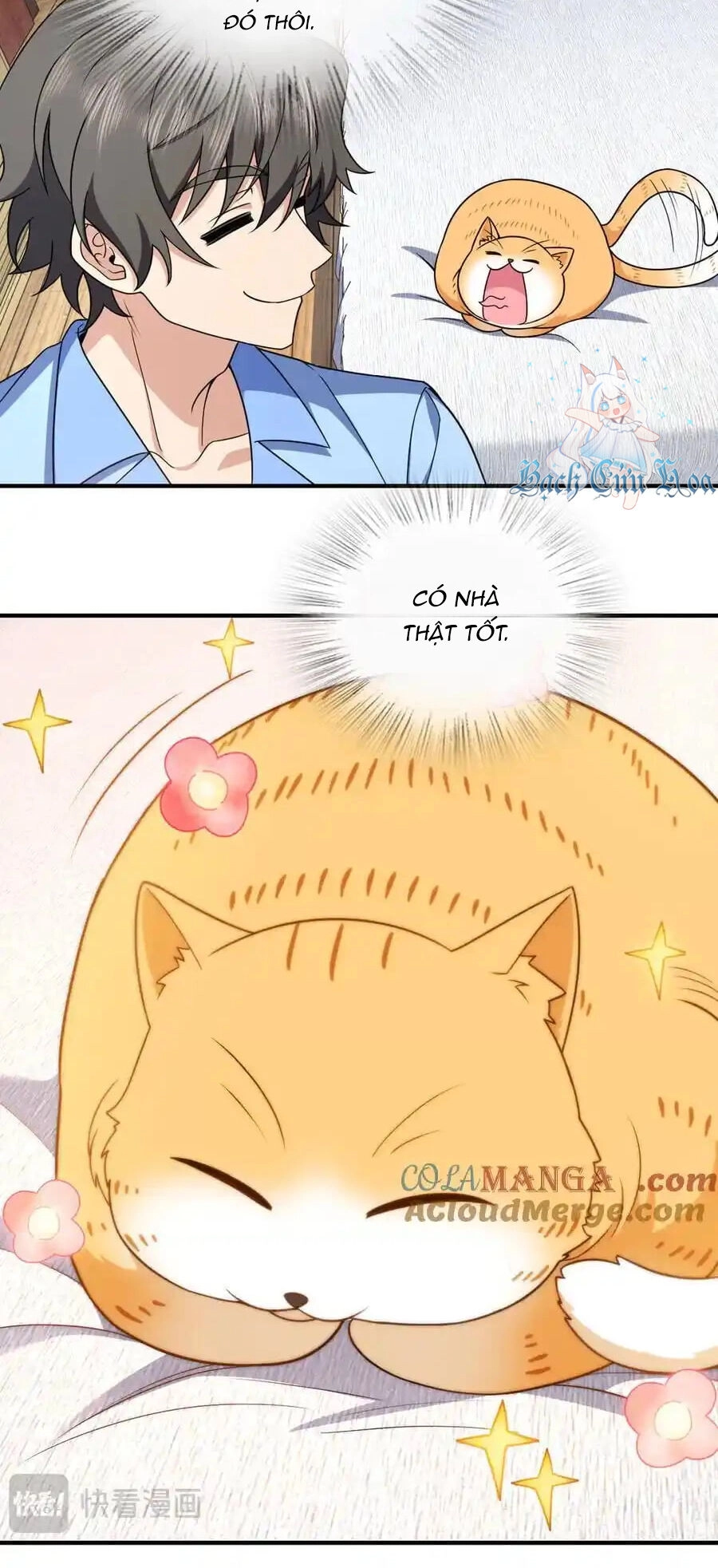 Bà Xã Nhà Tôi Đến Từ Ngàn Năm Trước Chapter 264 - 18