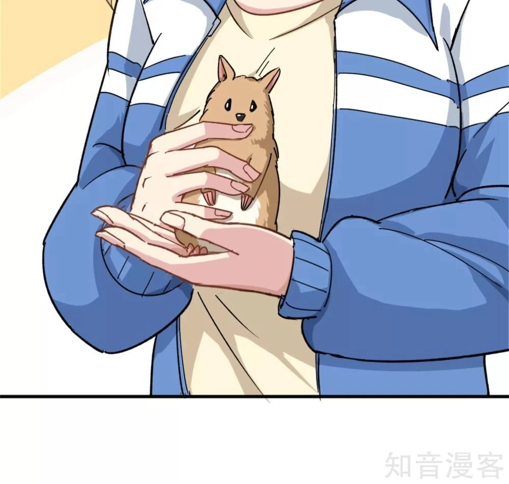 Hộ Hoa Cao Thủ Tại Vườn Trường Chapter 1 - 13