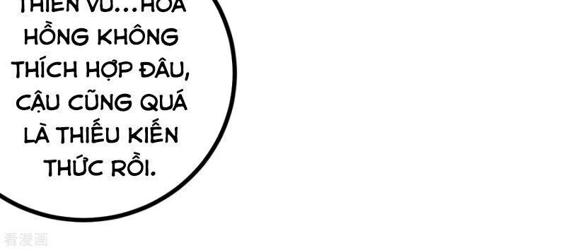 Hộ Hoa Cao Thủ Tại Vườn Trường Chapter 171 - 10