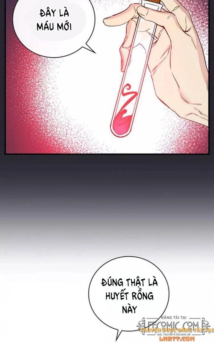 Kỵ Sĩ Đỏ Không Mê Tiền Mù Quáng Chapter 39 - 37