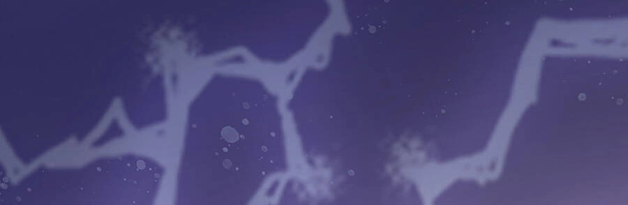 Đại Bảo Kiếm Của Tôi Chapter 47 - 90