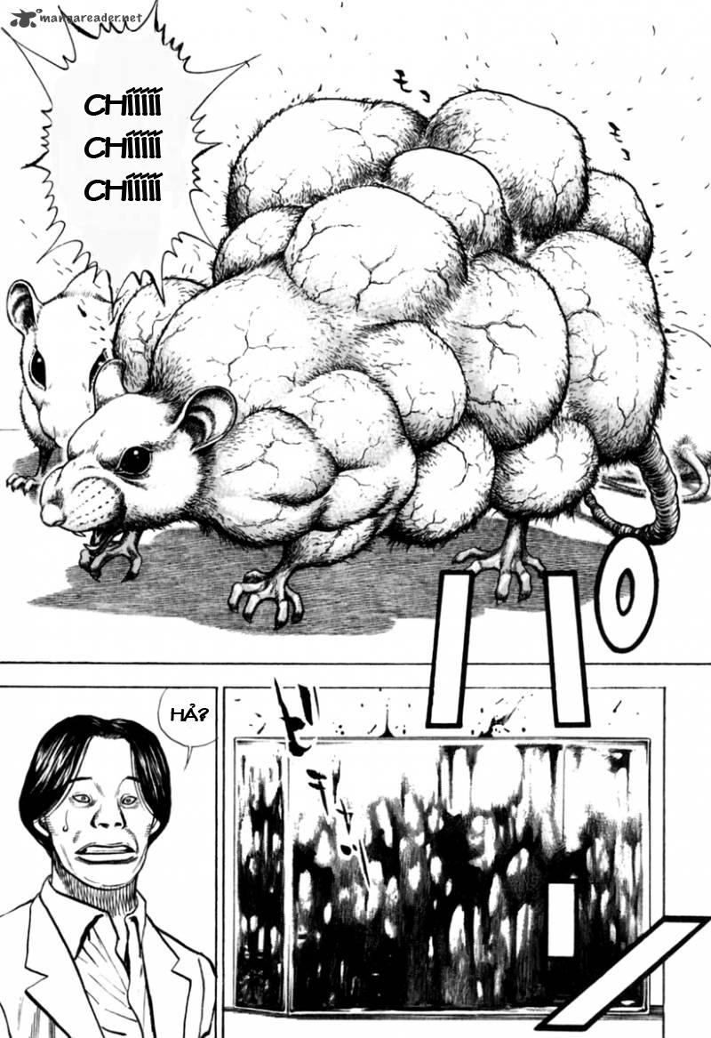 Tough - Miyazawa Kiichi Chapter 155 - 10