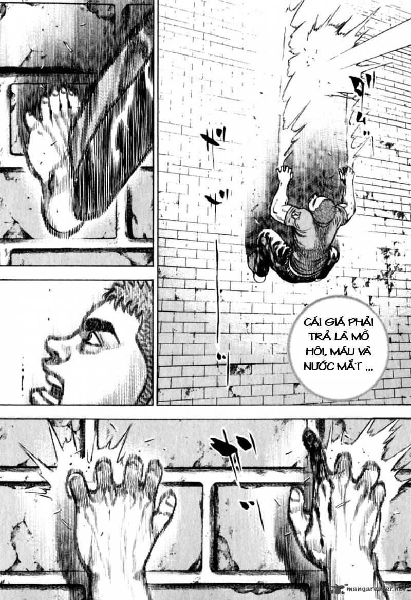 Tough - Miyazawa Kiichi Chapter 155 - 15