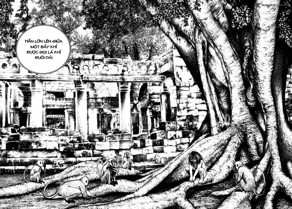 Tough - Miyazawa Kiichi Chapter 174 - 12