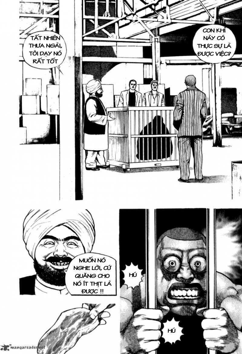 Tough - Miyazawa Kiichi Chapter 174 - 19