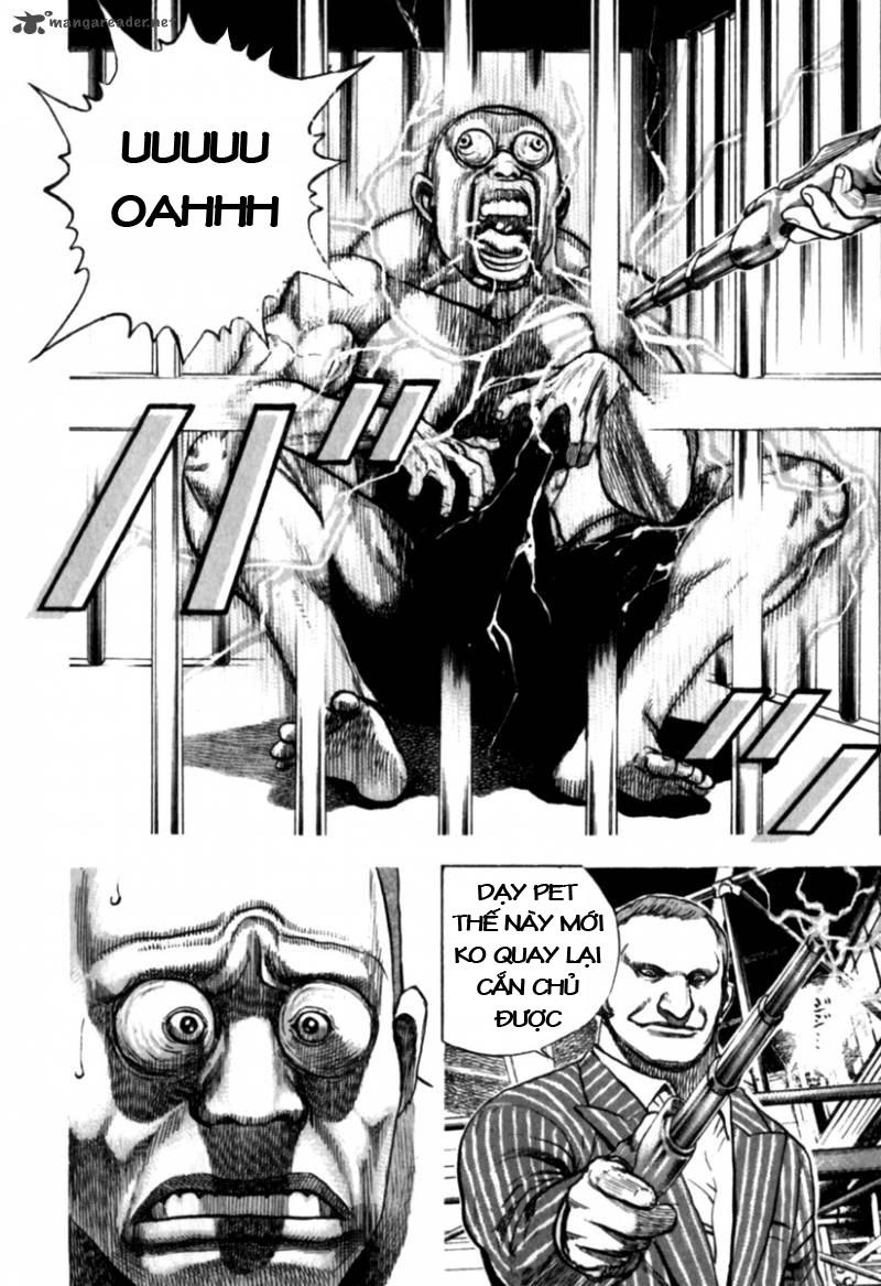 Tough - Miyazawa Kiichi Chapter 174 - 21