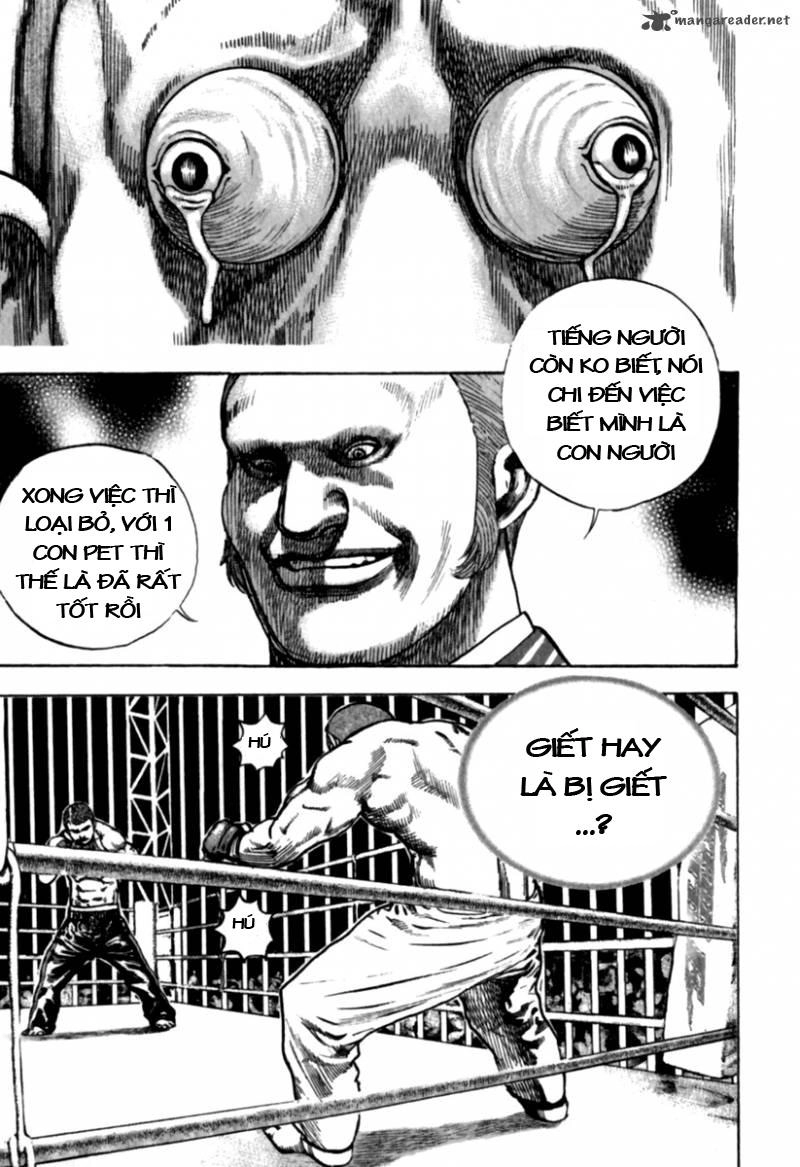 Tough - Miyazawa Kiichi Chapter 174 - 22