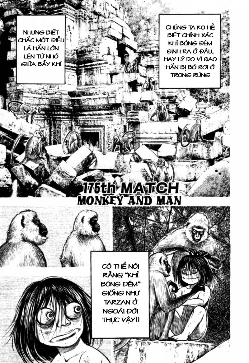 Tough - Miyazawa Kiichi Chapter 175 - 3