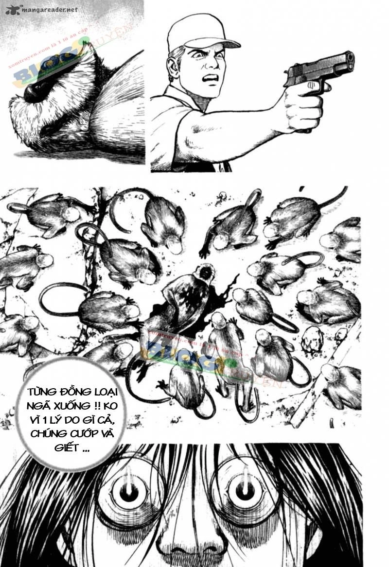 Tough - Miyazawa Kiichi Chapter 178 - 7