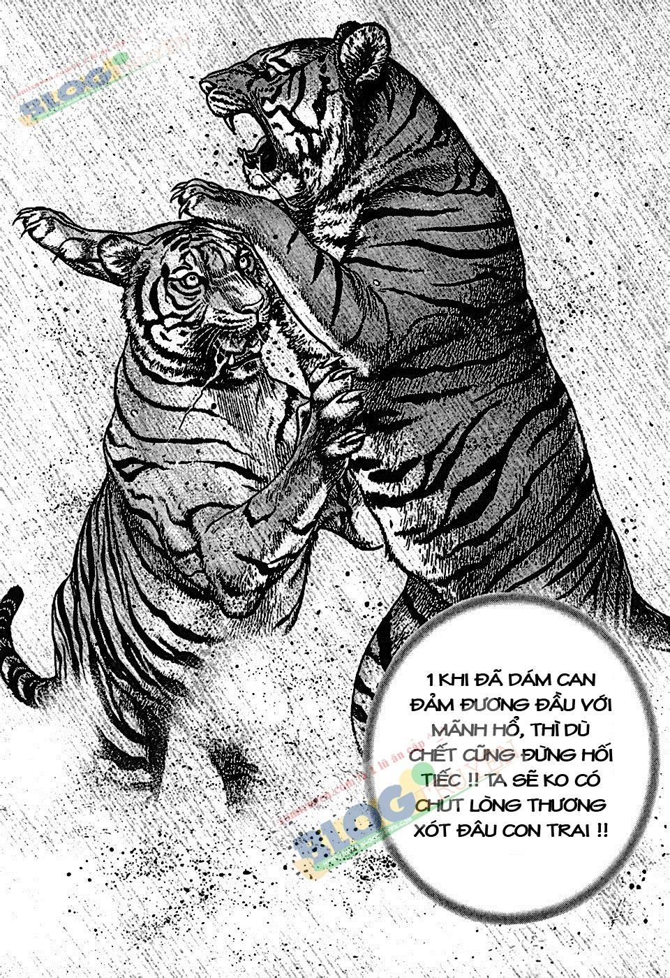 Tough - Miyazawa Kiichi Chapter 190 - 11