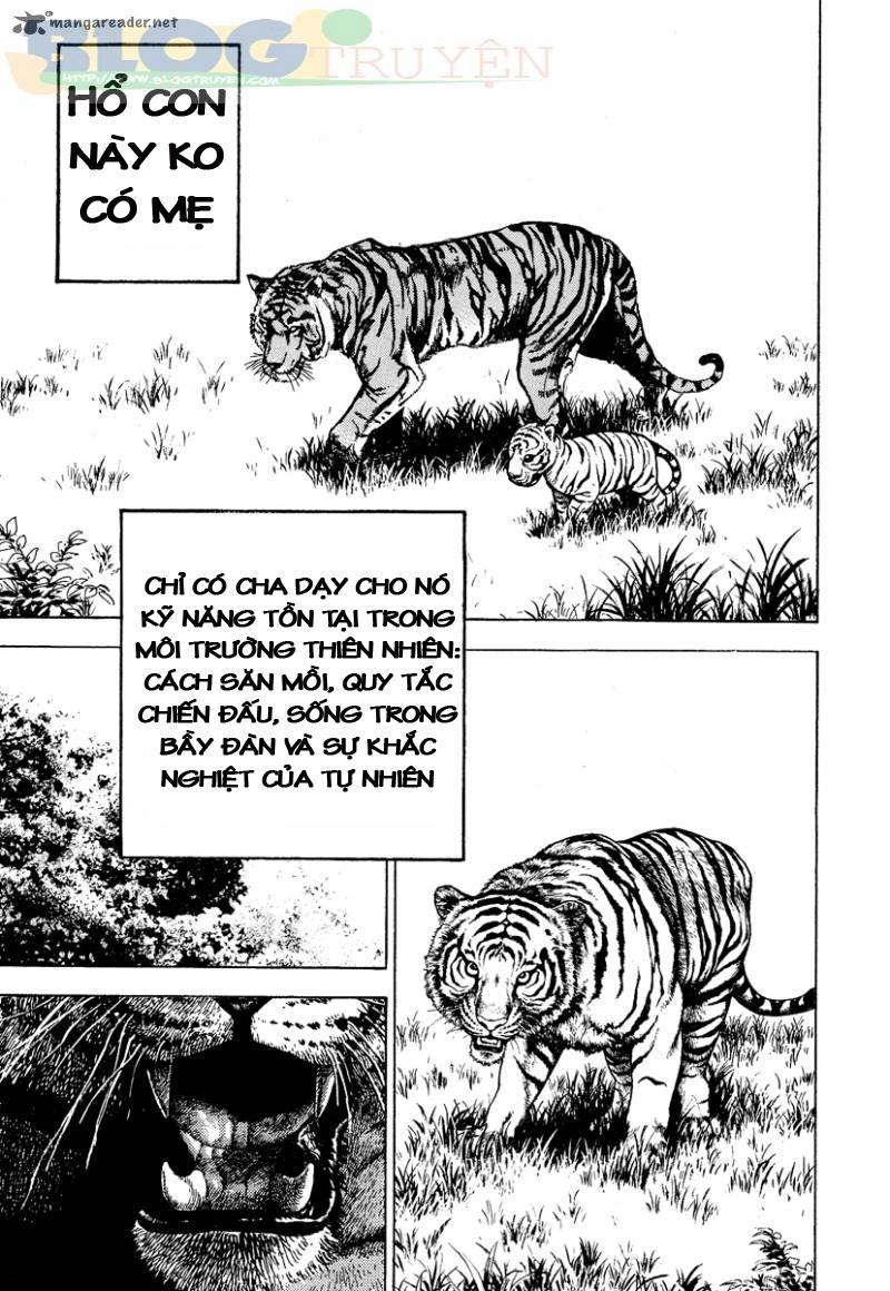 Tough - Miyazawa Kiichi Chapter 217 - 5