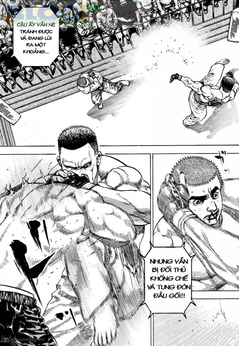 Tough - Miyazawa Kiichi Chapter 217 - 12