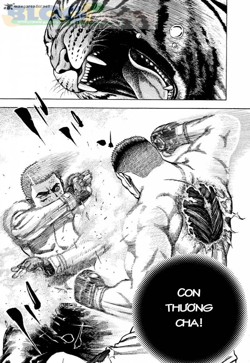 Tough - Miyazawa Kiichi Chapter 217 - 20