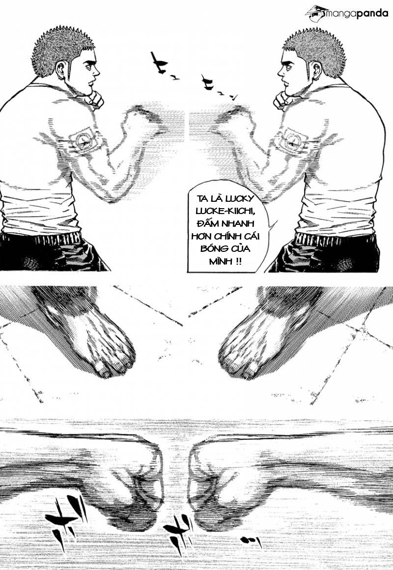 Tough - Miyazawa Kiichi Chapter 222 - 12