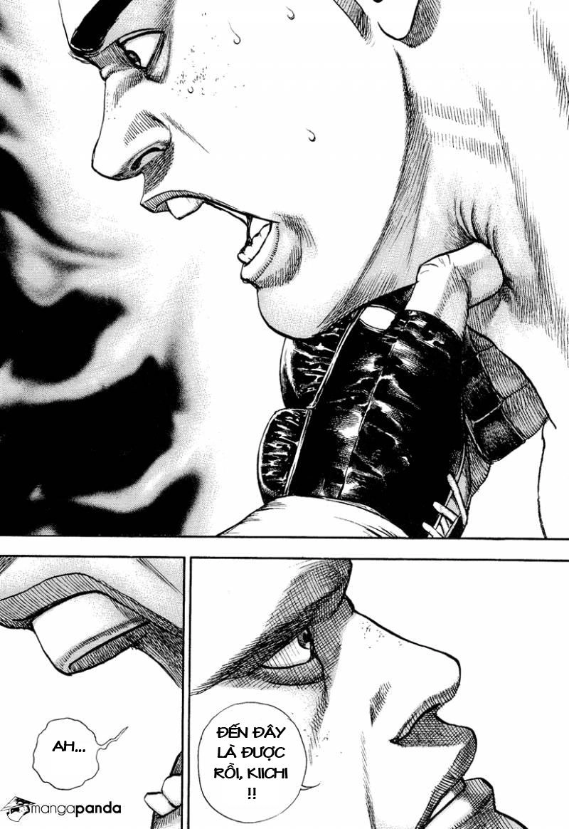 Tough - Miyazawa Kiichi Chapter 224 - 5