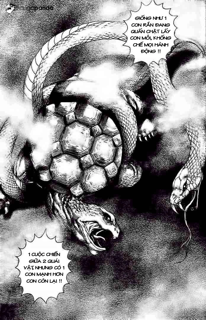 Tough - Miyazawa Kiichi Chapter 228 - 13