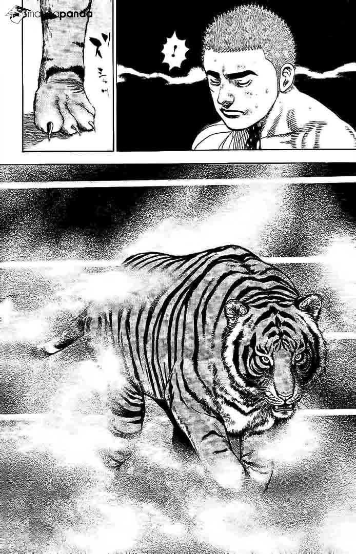 Tough - Miyazawa Kiichi Chapter 228 - 14