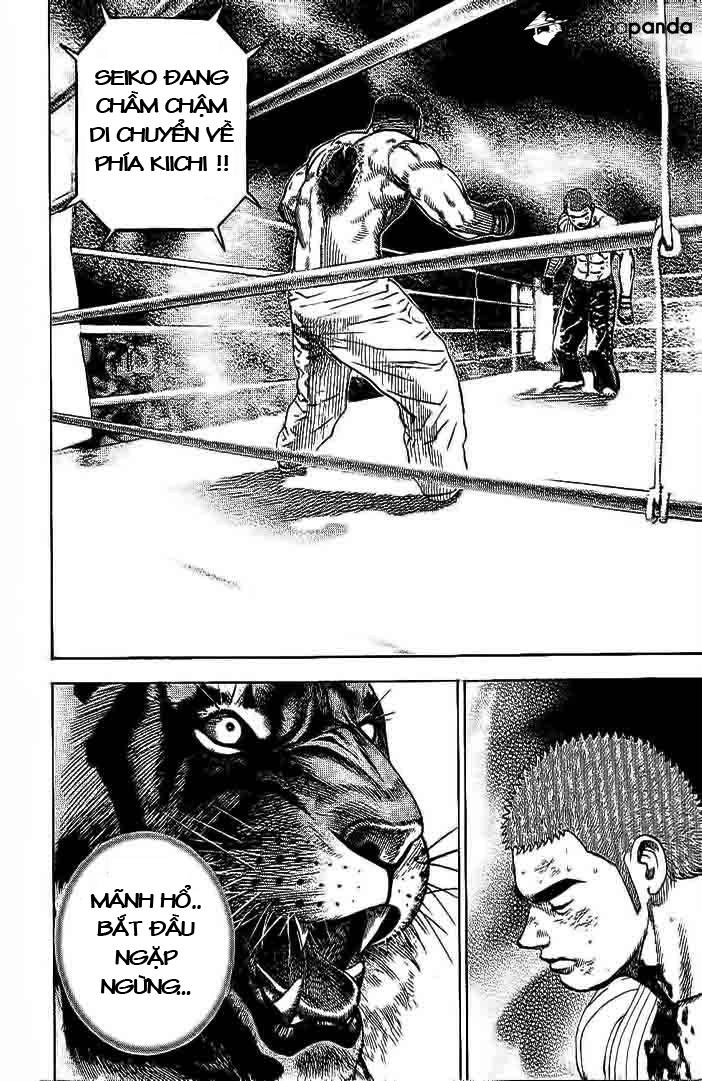 Tough - Miyazawa Kiichi Chapter 228 - 16