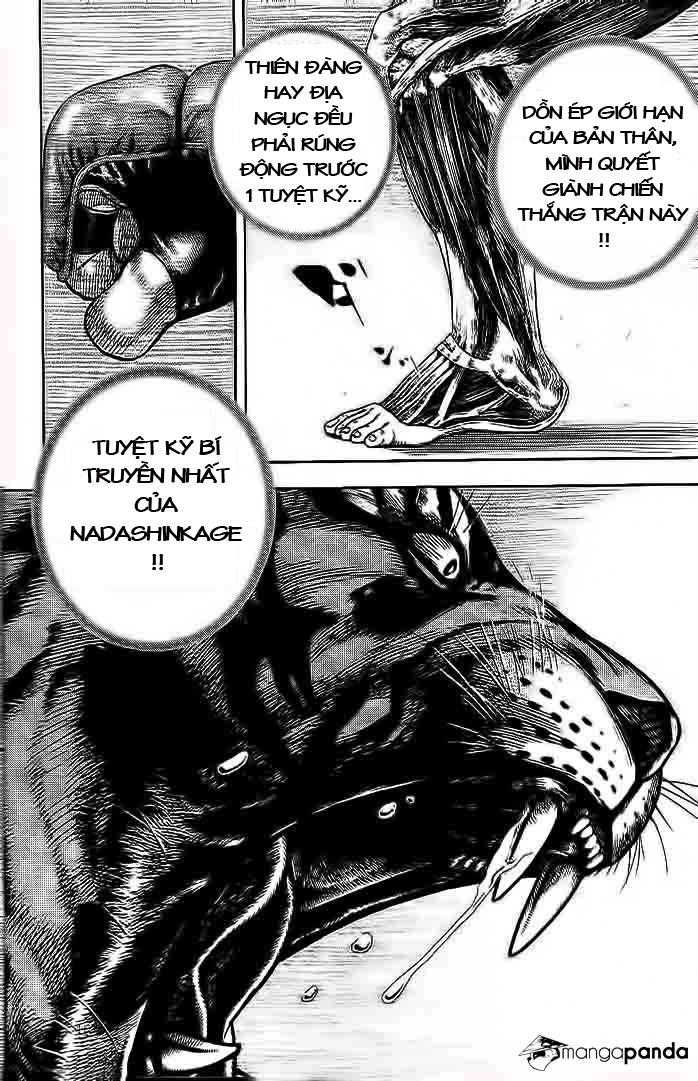 Tough - Miyazawa Kiichi Chapter 228 - 19