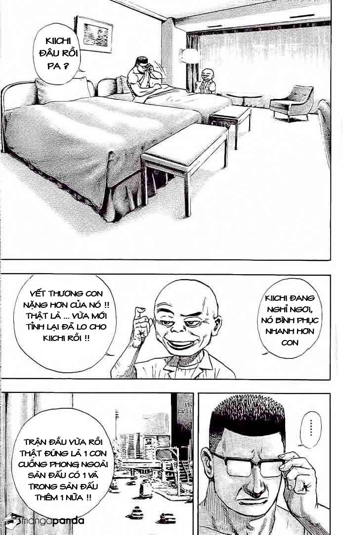 Tough - Miyazawa Kiichi Chapter 230 - 15