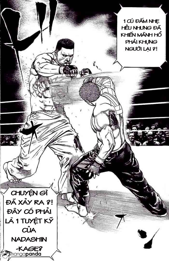 Tough - Miyazawa Kiichi Chapter 231 - 11