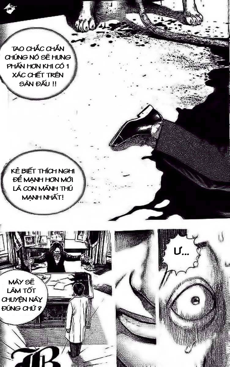 Tough - Miyazawa Kiichi Chapter 238 - 15