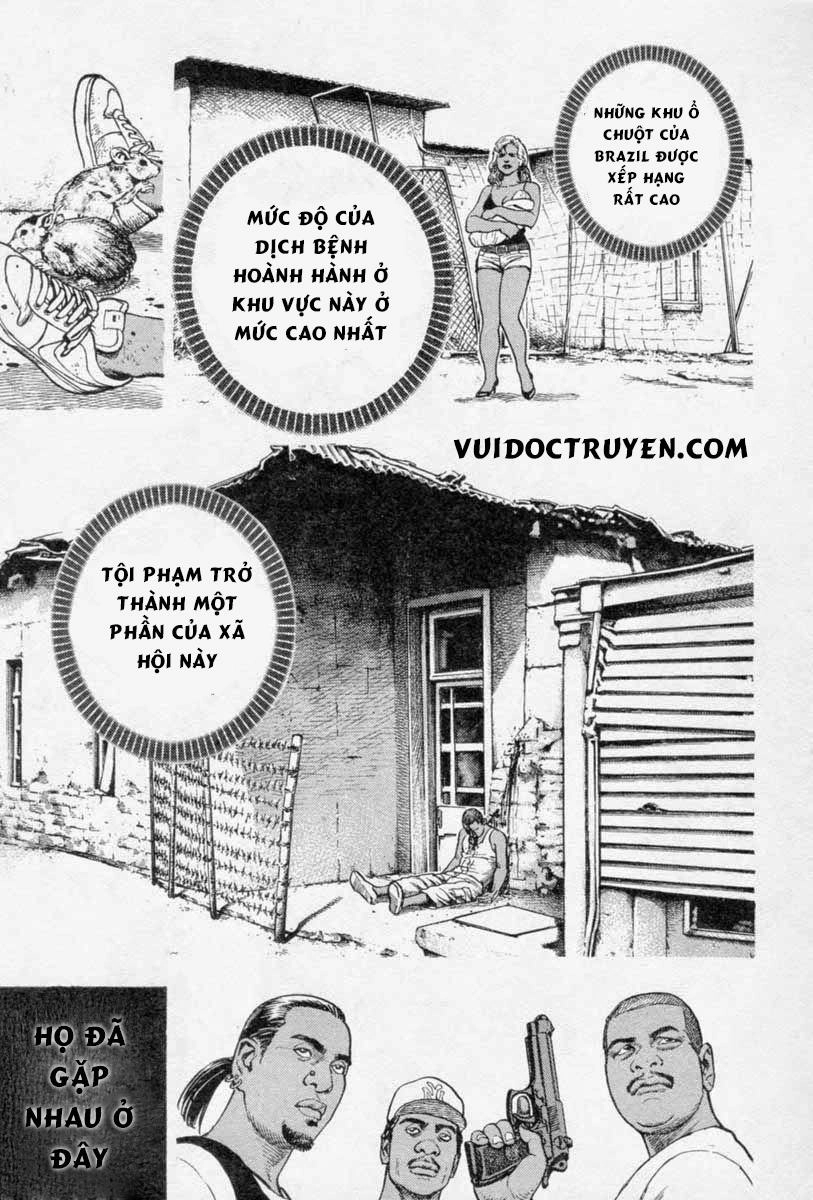 Tough - Miyazawa Kiichi Chapter 253 - 14