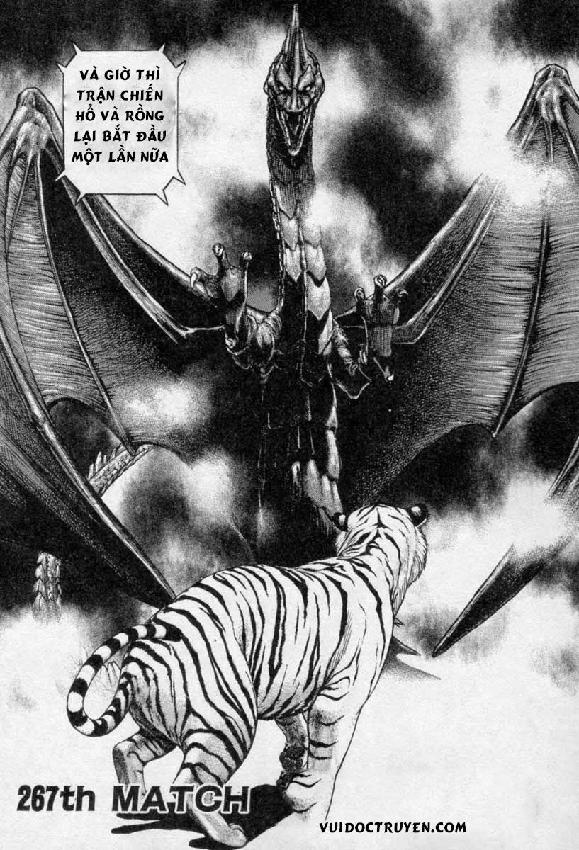 Tough - Miyazawa Kiichi Chapter 267 - 2