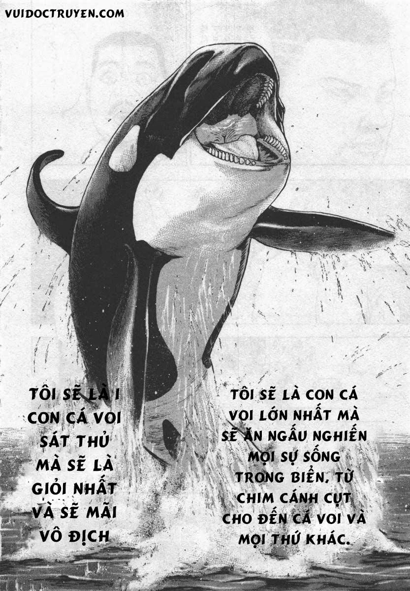 Tough - Miyazawa Kiichi Chapter 285 - 16