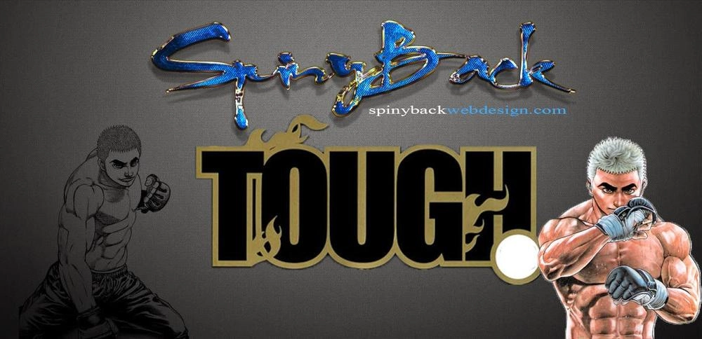 Tough - Miyazawa Kiichi Chapter 322 - 18