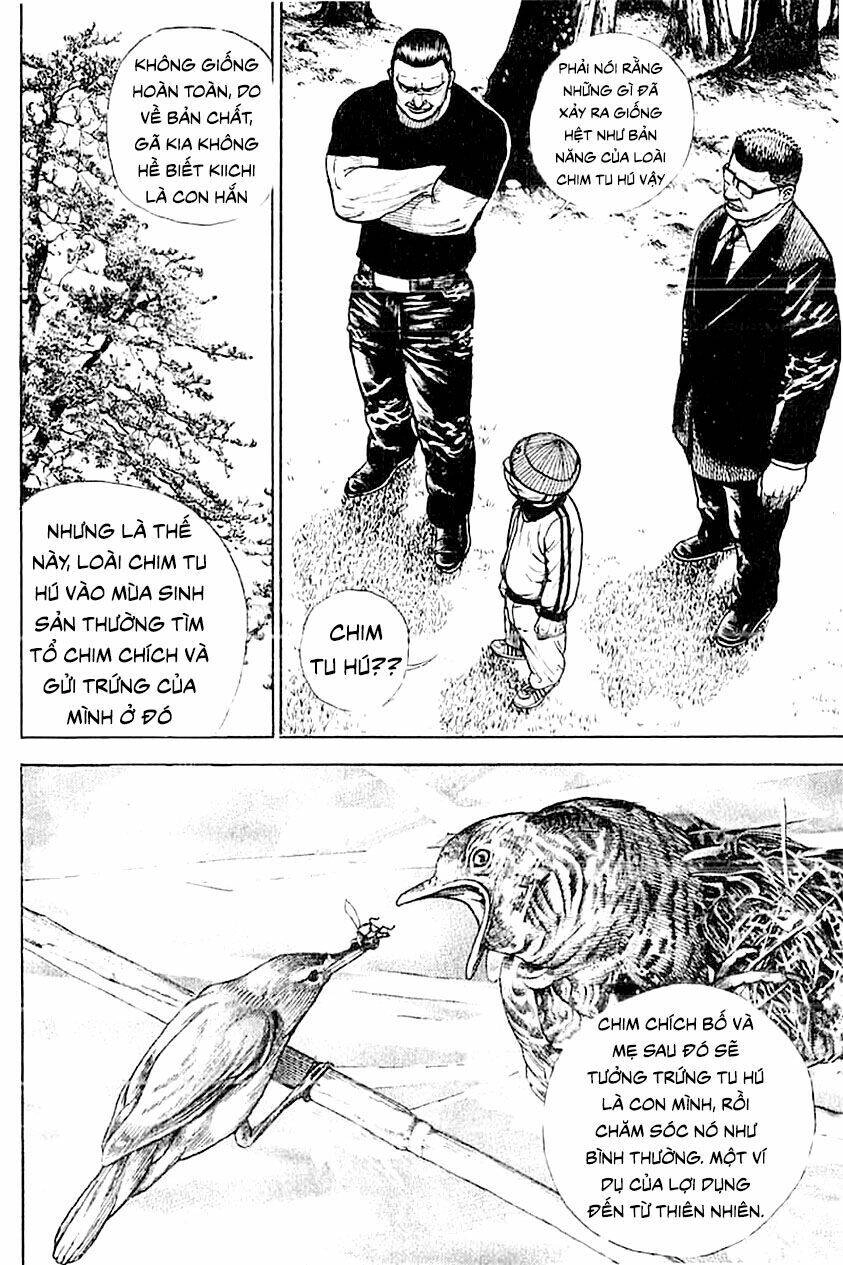 Tough - Miyazawa Kiichi Chapter 339 - 4