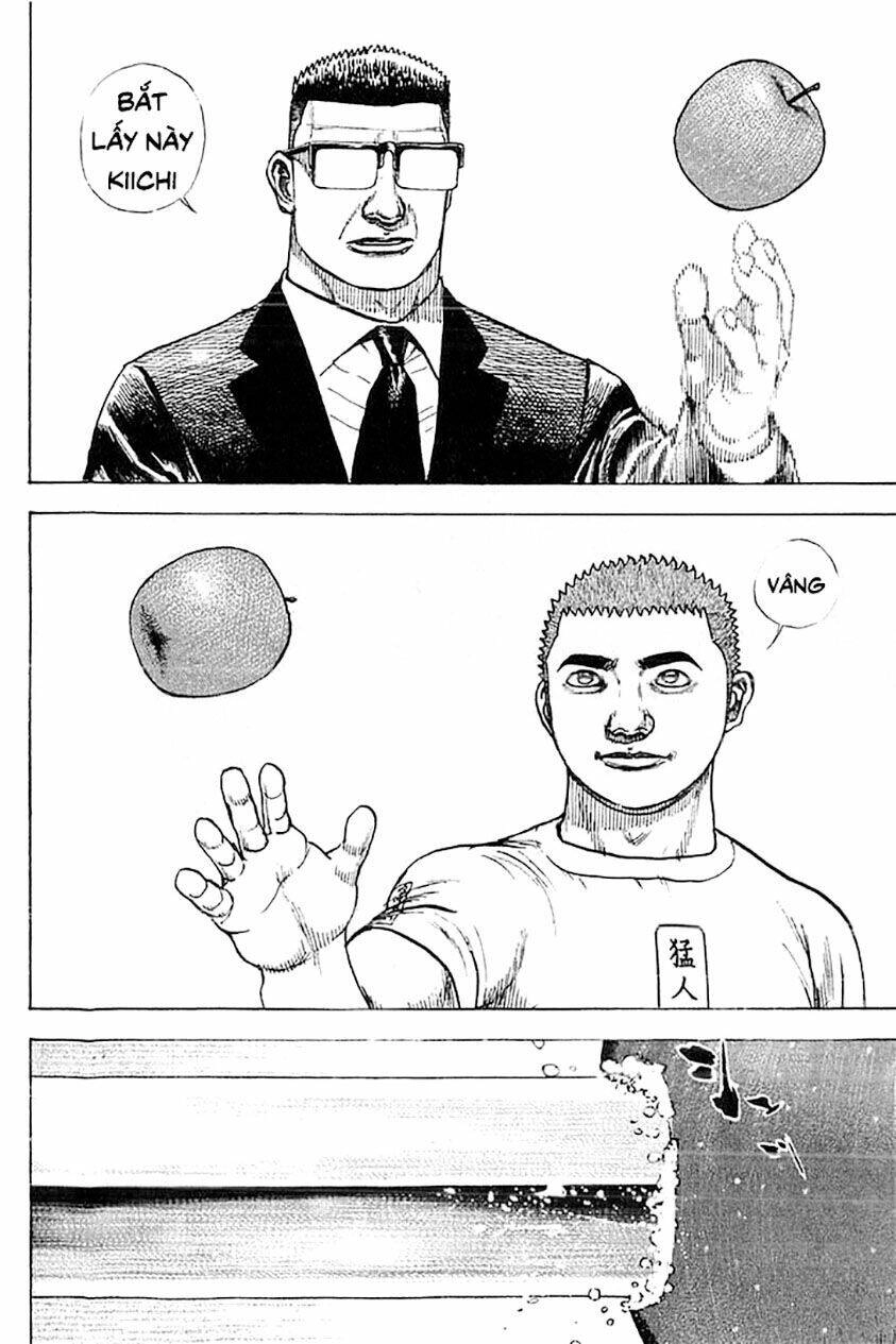 Tough - Miyazawa Kiichi Chapter 345 - 17