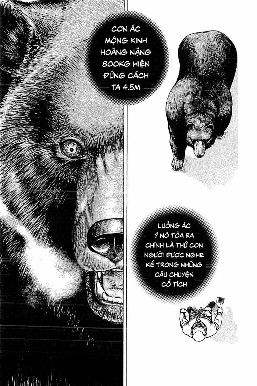 Tough - Miyazawa Kiichi Chapter 347 - 15