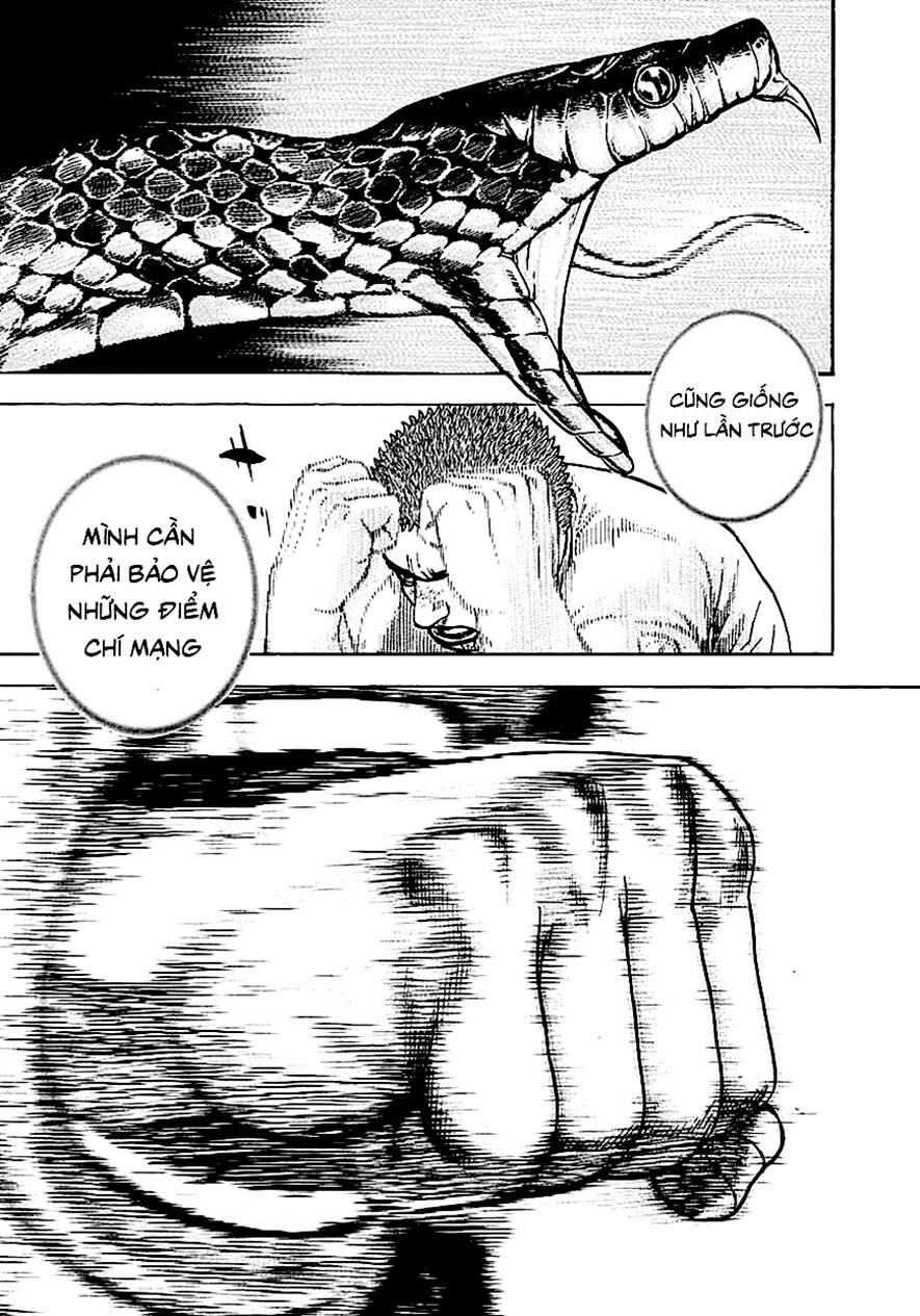 Tough - Miyazawa Kiichi Chapter 363 - 6