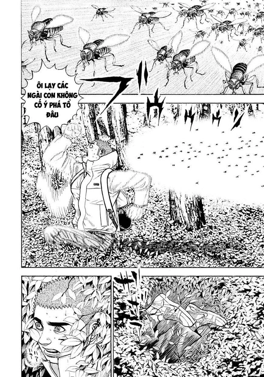 Tough - Miyazawa Kiichi Chapter 388 - 8