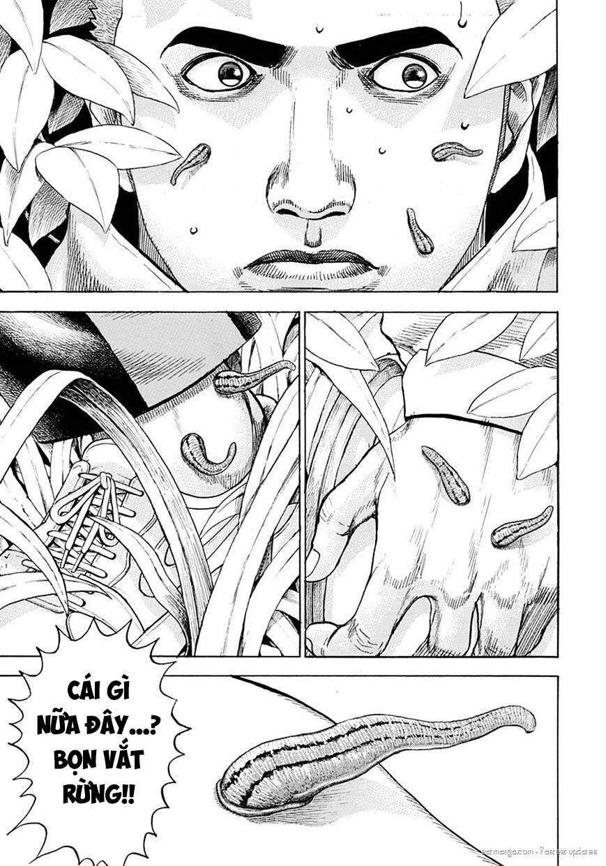 Tough - Miyazawa Kiichi Chapter 388 - 9