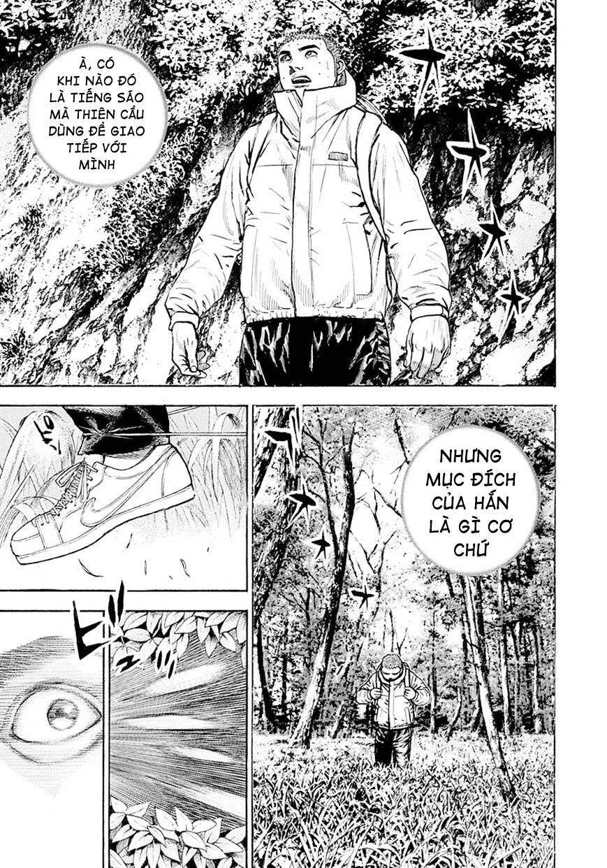 Tough - Miyazawa Kiichi Chapter 388 - 13