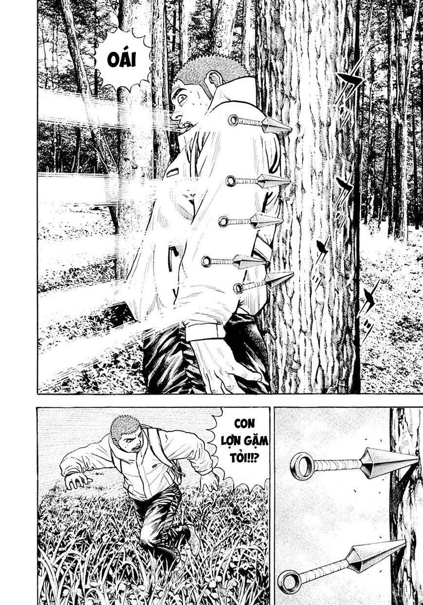 Tough - Miyazawa Kiichi Chapter 388 - 14