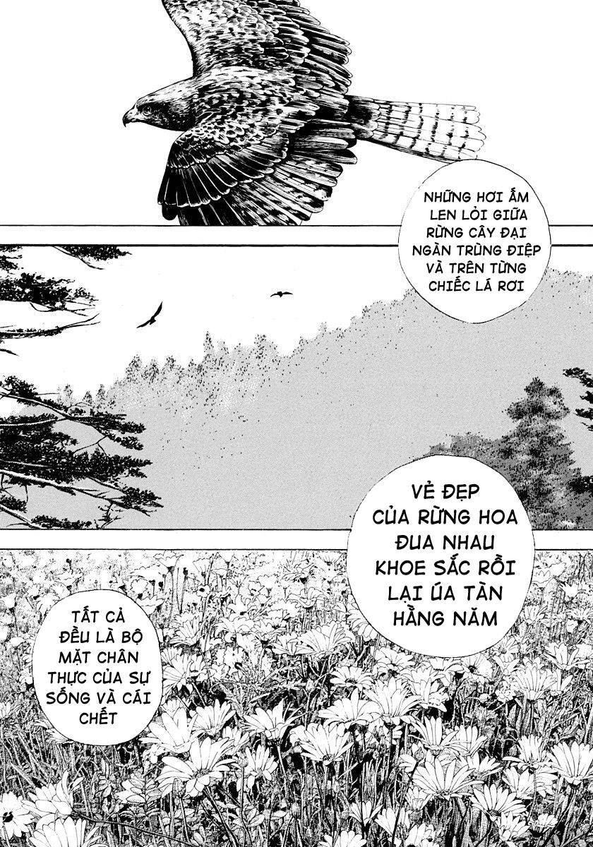 Tough - Miyazawa Kiichi Chapter 402 - 11