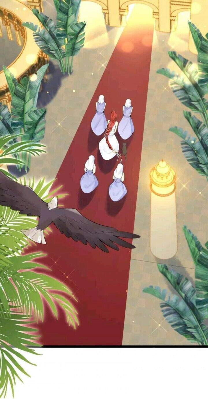 Xuyên Đến Ai Cập : Trở Thành Cô Dâu Của Vương Chapter 2 - 20