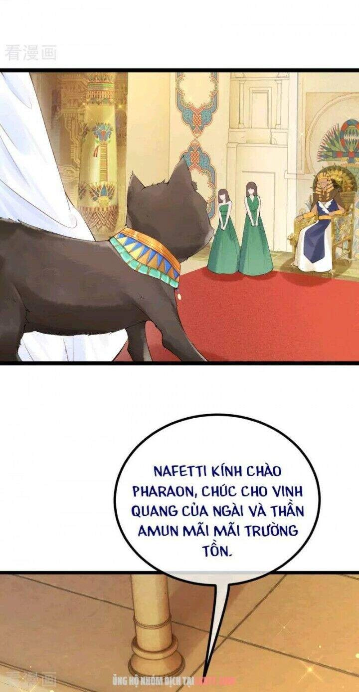 Xuyên Đến Ai Cập : Trở Thành Cô Dâu Của Vương Chapter 2 - 21