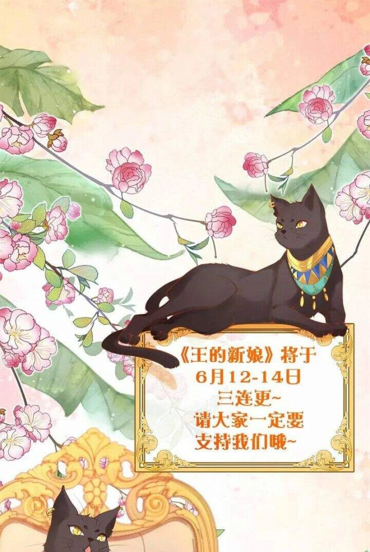 Xuyên Đến Ai Cập : Trở Thành Cô Dâu Của Vương Chapter 2 - 32