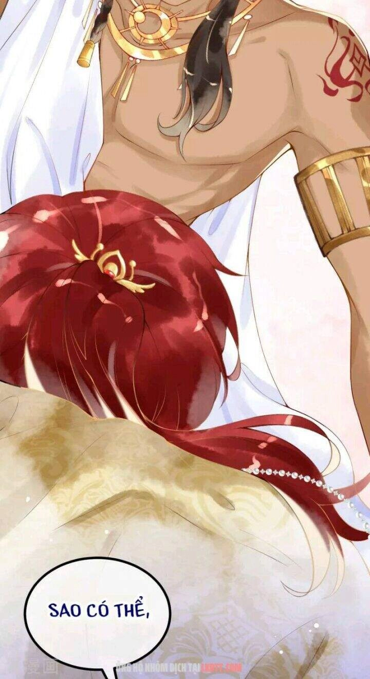 Xuyên Đến Ai Cập : Trở Thành Cô Dâu Của Vương Chapter 3 - 21