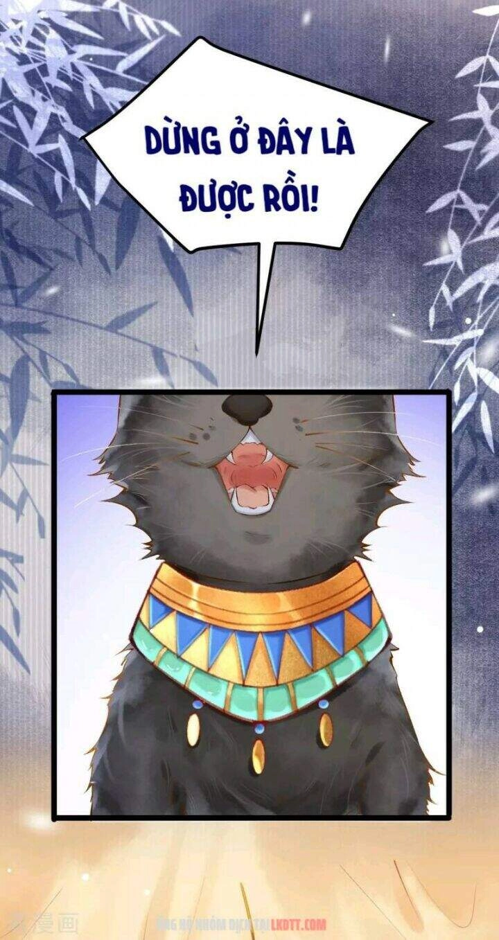 Xuyên Đến Ai Cập : Trở Thành Cô Dâu Của Vương Chapter 3 - 34