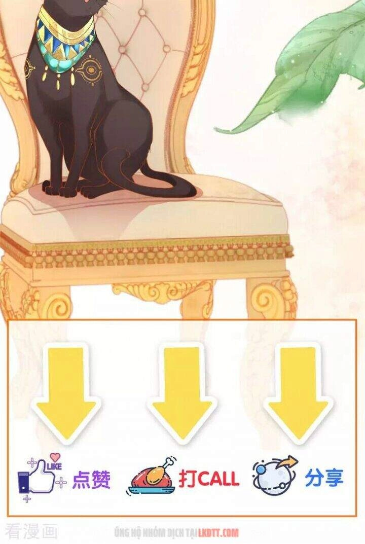 Xuyên Đến Ai Cập : Trở Thành Cô Dâu Của Vương Chapter 4 - 36