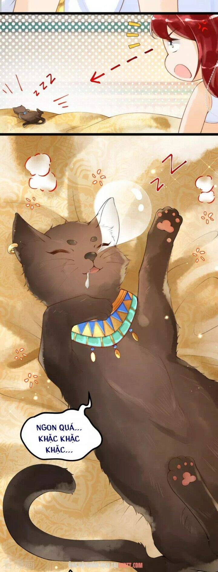 Xuyên Đến Ai Cập : Trở Thành Cô Dâu Của Vương Chapter 5 - 11