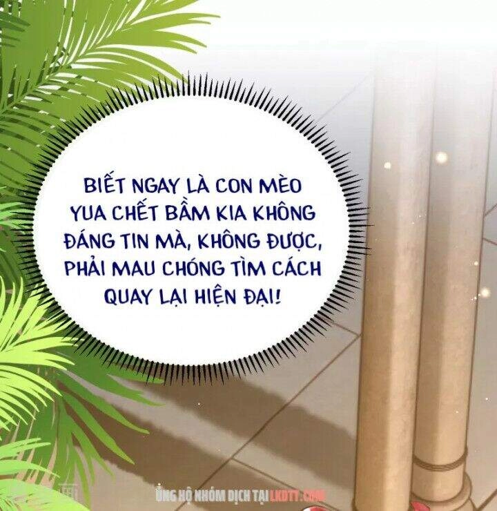 Xuyên Đến Ai Cập : Trở Thành Cô Dâu Của Vương Chapter 5 - 17