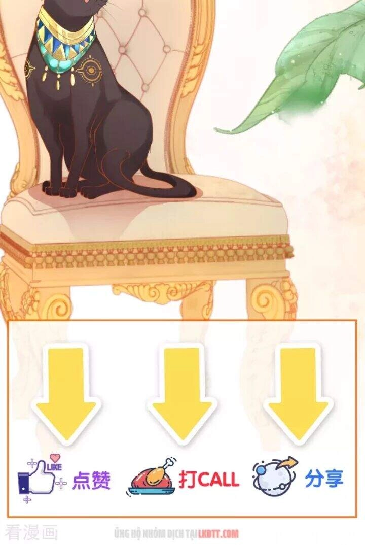 Xuyên Đến Ai Cập : Trở Thành Cô Dâu Của Vương Chapter 5 - 42