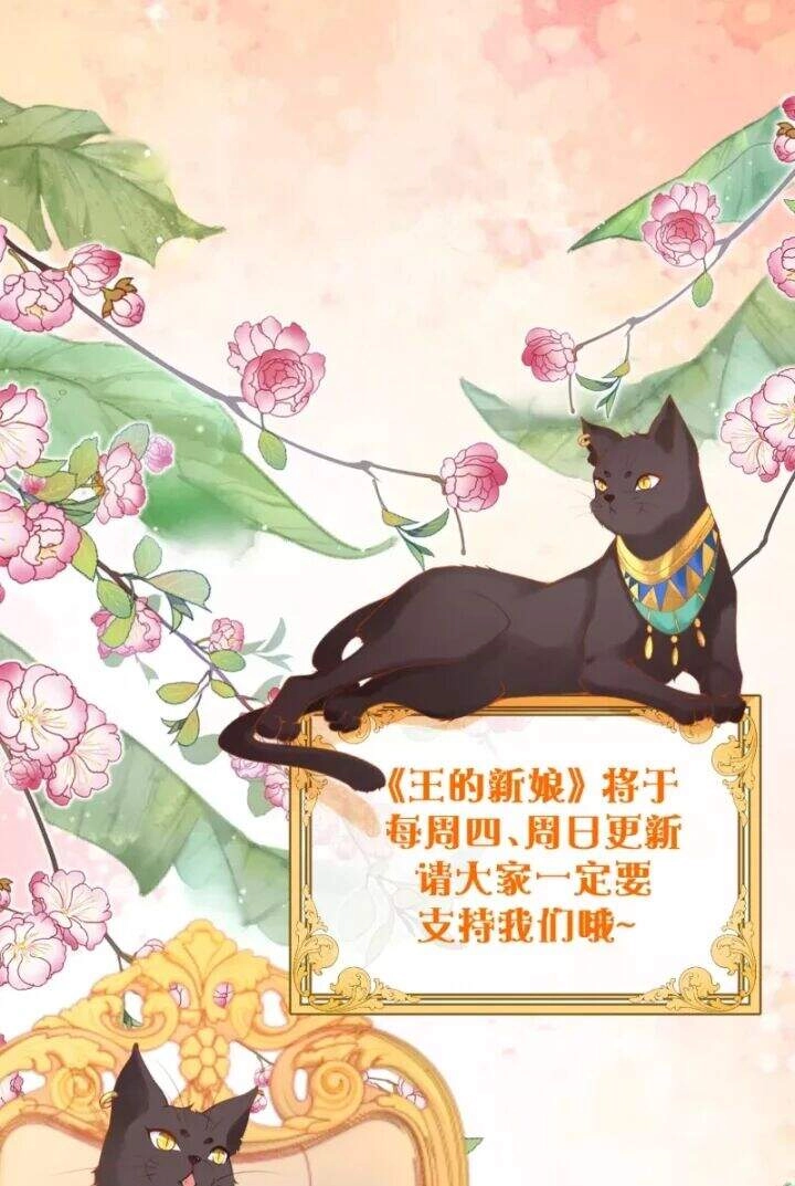 Xuyên Đến Ai Cập : Trở Thành Cô Dâu Của Vương Chapter 6 - 33