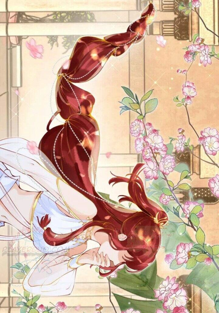 Xuyên Đến Ai Cập : Trở Thành Cô Dâu Của Vương Chapter 7 - 12